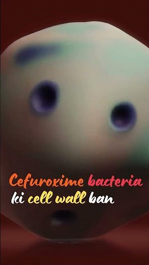 The Surprising TRUTH About Using Cefuroxime Axetil to Treat Infections