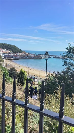 Tim Larkin (@tim.larkin)’s videos with original sound - Tim Larkin