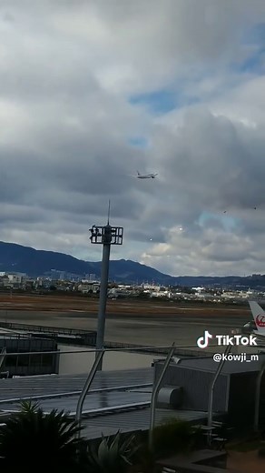 飛び立つ飛行機✈ 2024.12.22 #大阪国際空港 #伊丹空港 #JAL #カフェランチ