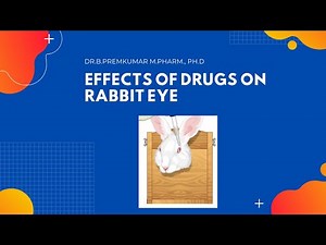 Effects of Drugs on Rabbit eye