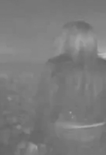Jane Remover Show at Coachella 2026