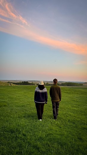More hide and seek in the sheephouse! What’s your favourite hiding spot? #iceland #sheep #farmlife #animals #lambing #farm #icelandicsheep | Farmlifeiceland