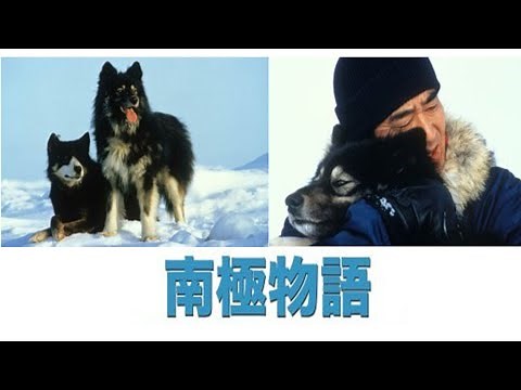 映画「南極物語」のテーマソング 1983年公開の高倉健 主演映画の名曲