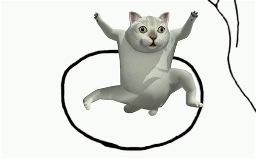 两 只 Mur 猫 爱 跳 舞