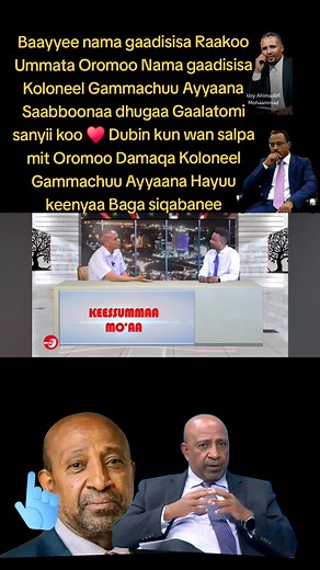 Interview Kolonel Gammachuu Ayyaanaa: Sanyii Koo