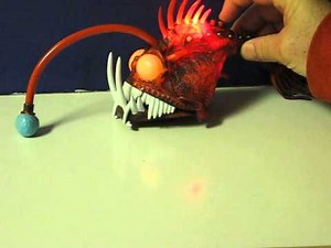 SOLD - Sale Item Demo - Finding Nemo Light Up Flashing Angler Fish
