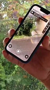 9.3K views · 59 reactions | Un seguidor nos manda este video captado por el detector de movimiento donde el detector capta a un ser aparecer y tocar al perrito Tu que opinas ⛔️ ⚡️ #cazadoresmasalladelmiedo #leyendasmexicanas #mitosyleyendas #psicofonias #espiritus #niñosfantasmas #fantasmas #AlmasEnPena #LeyendasUrbanas | Cazadores mas alla del miedo | Facebook