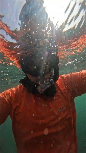 I Found a SECRET Hidden Underwater World! 🌊💎 (Wait for the end) ​‪@AyurvedaforEveryoneOfficial‬