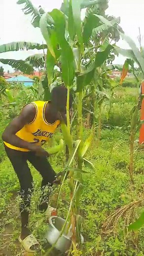 comedian cf on TikTok