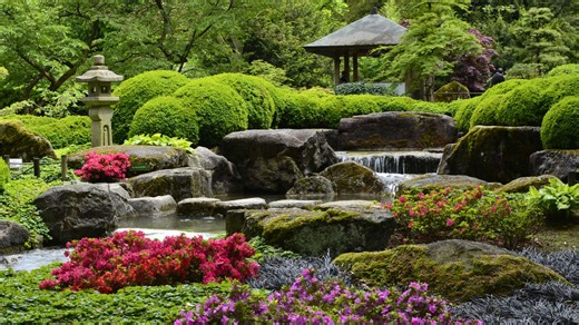 Die 9 schönsten Botanischen Gärten in ganz Bayern