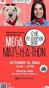 1.3K views · 19 reactions | Are you looking for your perfect match?...