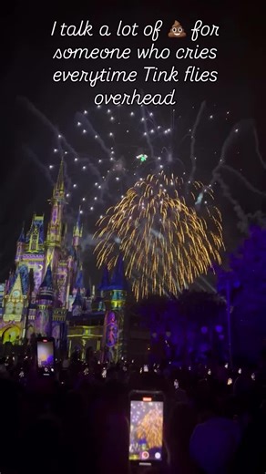 The fireworks start and I remember why Disney will always feel like home. #DisneyFireworks #DisneyMagic #DisneyFeels #MagicalMoments #MapDotTravelsbyLindsey