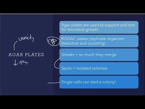 BioWork Module 7: Facilities and Maintenance Part 6
