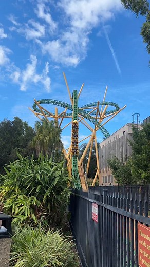Here’s Every Ride I Went On At Busch Gardens Tampa, Florida #ride #rollercoasters #buschgardens #themepark | Basicallygr3g