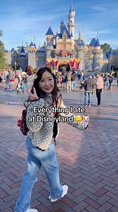 Ok going back to the weens now with a tummy ache. Lol #disneyland #foodreview #foodie #sogood #travel #foodie | The Weens