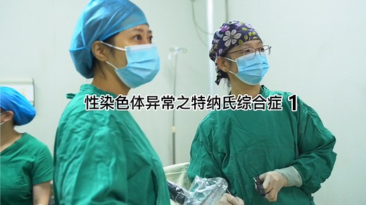 性染色体异常之特纳氏综合症_染色体45XO_先天卵巢发育不全_Turner综合征