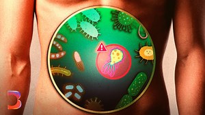 Is the gut microbiome a new frontier in cancer care? Some scientists say human feces could help radically improve human health. For more https://trib.al/KMEnVSu | Bloomberg