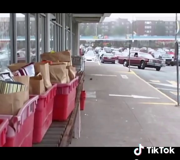 Trailer Park Boys Clips: Memorable Moments Revealed