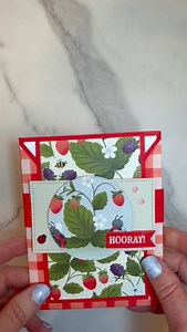 A new fun fold with lots of possibilities! Visit my blog for all of the details, link to the replay and more! https://stampinnotes.com/double-joy-fold-cards/ #vernamullen #stampinnotes #meadowviewstamper #stampinup #papercraftersofinstagram | StampinNotes