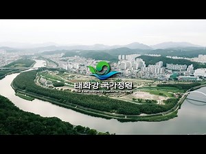 푸른 빛이 물드는 정원도시 울산🌳ㅣ태화강국가정원