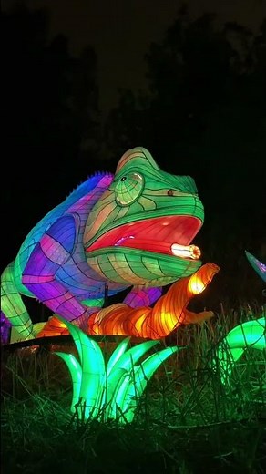 L.A. Zoo Lights: Animals Aglow - Now Open!