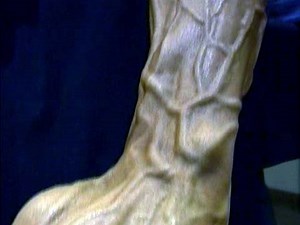 Musclemania bodybuilder Matt Sanchez