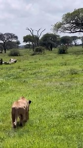 145K views · 1.1K reactions | https://linktr.ee/watcherishere  | watcher is | Facebook