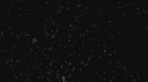 Snow falling gently - Free Stock Video