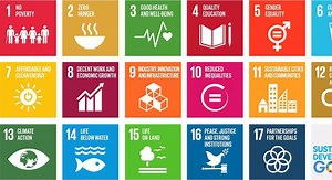 INTERVIEW: Sustainable Development Goals must be owned by everyone, says senior UN official