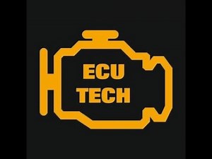 Программируем MAN TGX D2676 Euro6 в Euro0 через MANcats от ECU TECH Team