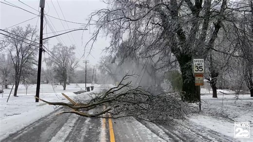 Limbs are cracking across Middle TN. News 2 caught this tree snap on Currey Road off East Thompson Lane in South Nashville. | WKRN News 2