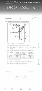 Life Sciences/Grade 113.2 The diagram below represents the st... | Filo