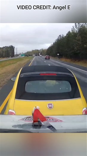 Brake Checker Gets Taste Of His Own Medicine!