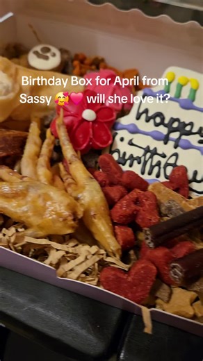 Creative Dog Birthday Party Ideas