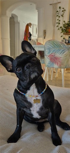 The perils of daylight saving changes. | Deb Laws