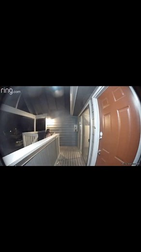 Drunk People Doing Things on Reels