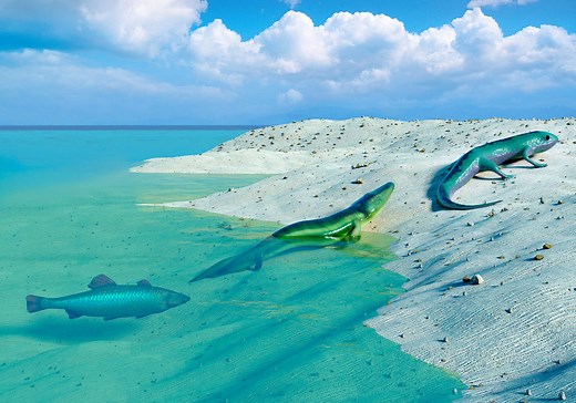 Scientists Have Observed Evidence of Evolution in Real Time