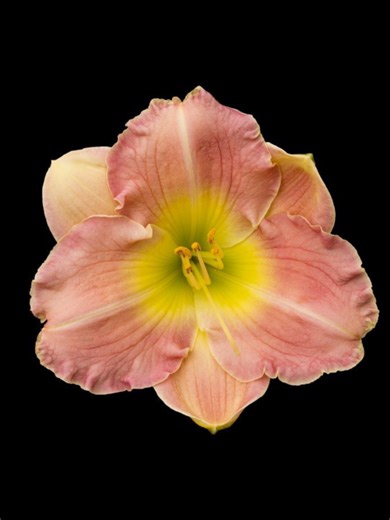 Vaaste Lyrics: Slowed Cover of Tumse Zyada Main Na Jaanu