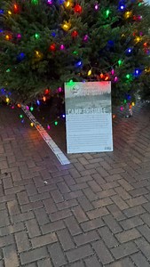 Festival of the Firs at Camp Grisdale in Shelton aka Christmastown USA 🎄#scenicwa | 365 Things To Do In Scenic Washington State