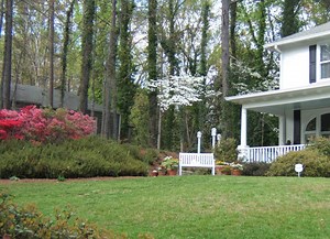 'Master' Your Garden With Azaleas