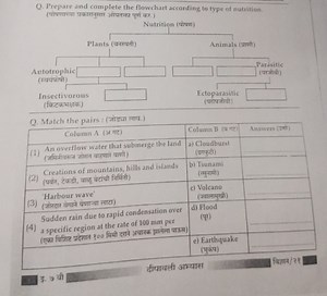 Q. Prepare and complete the flowchart according to type of nutr... | Filo