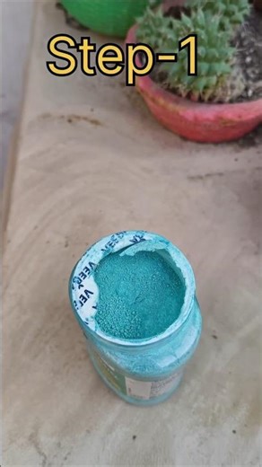 “Spring Flower Explosion Hack 🎊| Garden Secret”#ytshorts #shortsfeed #gardening #muktasterracegarden