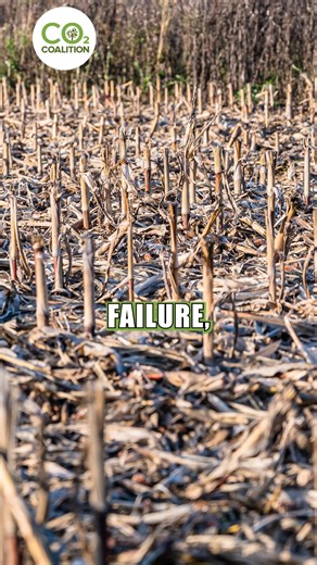 30K views · 1.2K reactions | In each instance when it started getting cold, it led to crop failure, famine, pestilence, and mass depopulation #shortvideo #co2 #short #climatechange #science #ClimateChange #questioneverything #CO2 #shortsvideos #climate #shorts #shortsvideo #history #famine | CO2 Coalition | Facebook