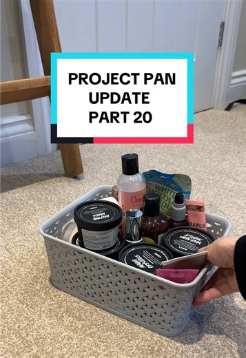 Project Pan Update: Part 20 Insights