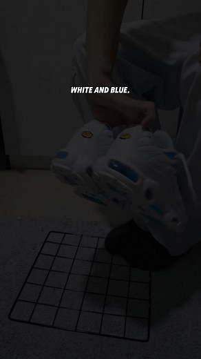 Nike Air Max Plus: A Guide to Colorways and Styles