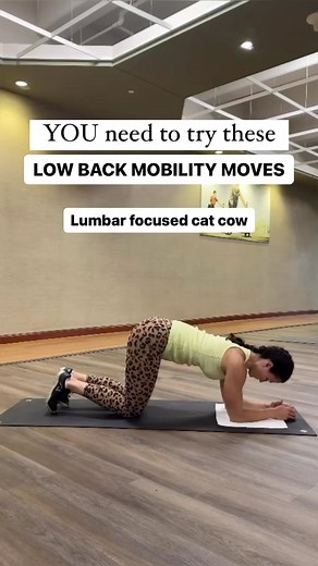 63 reactions · 22 shares | ⬇️Exercises for a Healthy Spine! Let’s...