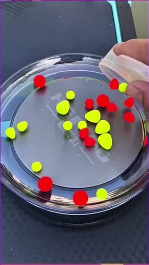 The float signal is amplified and highlighted with vibrant colors, enhancing float visibility and