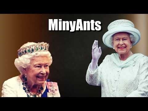 Code names with straight imbeciles 