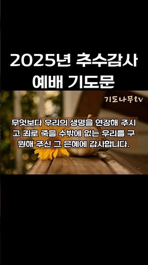 "추수감사절 기도문/대표기도문 예시"