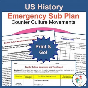 US History Sub Plan-Reading & Activity: 1960s & 70s Counterculture movements